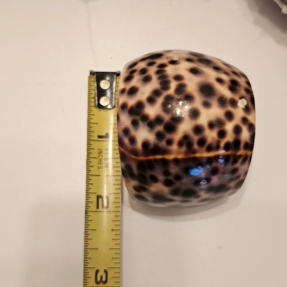 Twos Company Saint Barts Tiger Cowrie Shell Napkin Rings Set of 12 Vintage NEW